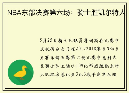 NBA东部决赛第六场：骑士胜凯尔特人
